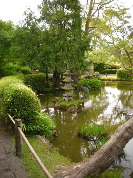 alt="  Japanese Tea Garden  -"