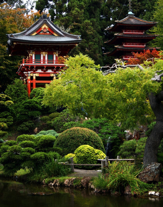 alt="  Japanese Tea Garden  -"