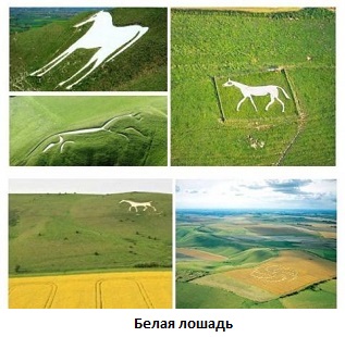 white-horse (317x310, 44Kb)