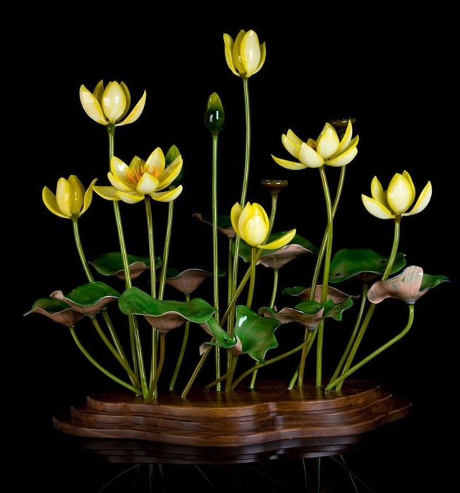 yellow-lutea-american-lotus[1] (652x700, 282Kb)