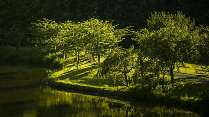 1998075[1] (700x393, 388Kb)