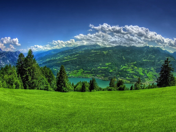 nature_wallpaper_1024x768[1] (700x525, 459Kb)