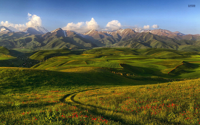 poppy-field-on-the-hills-33055-1680x1050[1] (700x437, 517Kb)