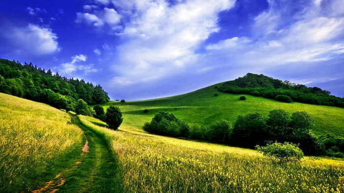 spring-season-background[1] (700x393, 383Kb)