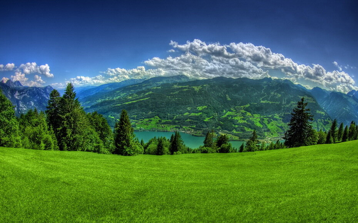 0_bfc96_2d143d38_orig[1] (700x437, 374Kb)