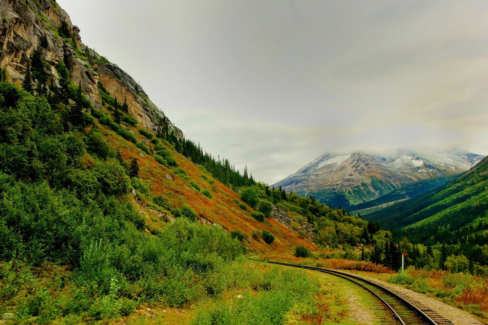 17256607808_f37d1349db_o[1] (700x466, 430Kb)