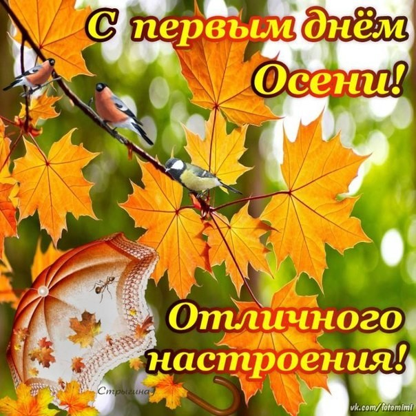 Открытка-с-первым-днём-осени-красивая-открытка-с-первым-днём-осени-6831 (604x604, 397Kb)