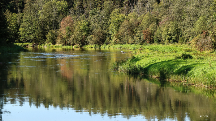 IMG_7208 (700x393, 436Kb)