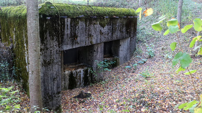 IMG_7381 (700x393, 492Kb)