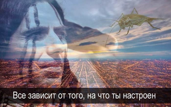 4208855_Vsyo_zavisit_ot_togo_na_chto_ti_nastroen_ (700x437, 67Kb)