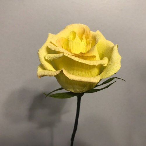 4015725_6_1_ (500x500, 24Kb)
