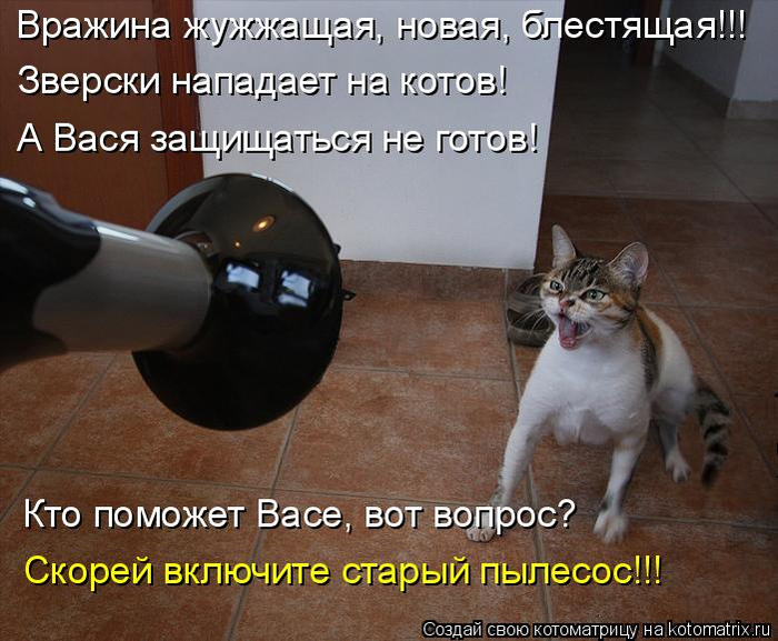 kotomatritsa_9 (700x577, 364Kb)
