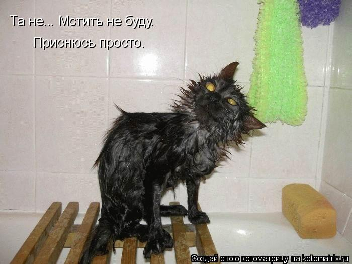 kotomatritsa_Rk (700x525, 177Kb)