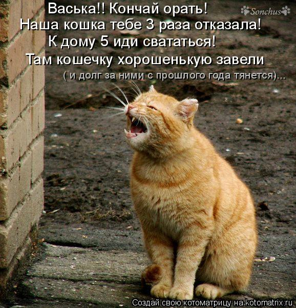kotomatritsa_W (578x600, 327Kb)