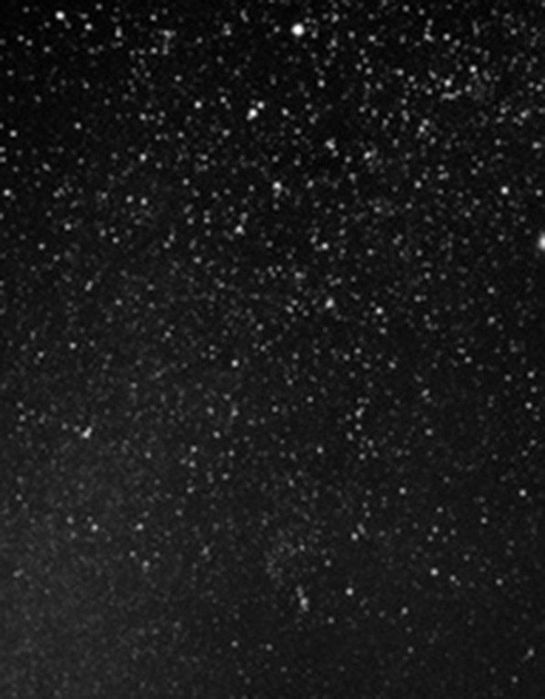 5640974_CppOiAXscUo (545x700, 44Kb)