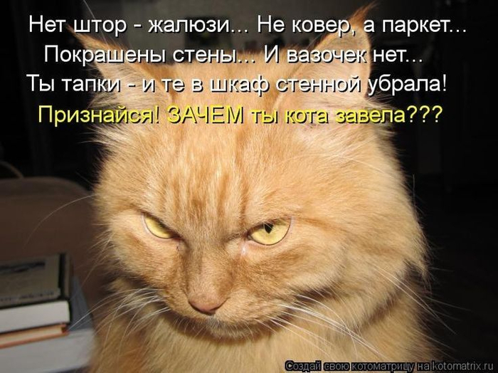 dc3ad80aa51287d726a6f714c8167fb5 (700x524, 338Kb)