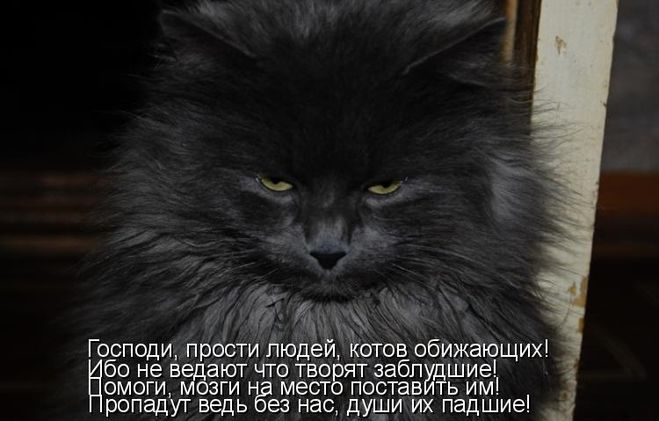 fbcfe0f6229558d5348d2d1f2d91ffbe (659x421, 109Kb)