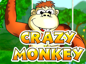 1512113652_crazy-monkey (300x225, 94Kb)
