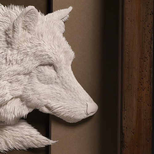 fullsize (3) (500x500, 53Kb)