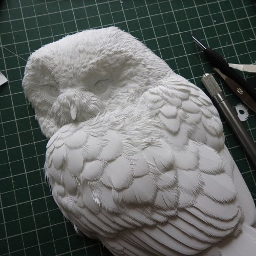 fullsize (5) (500x500, 57Kb)