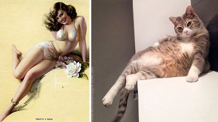 pin-up-cats-1 (700x393, 52Kb)