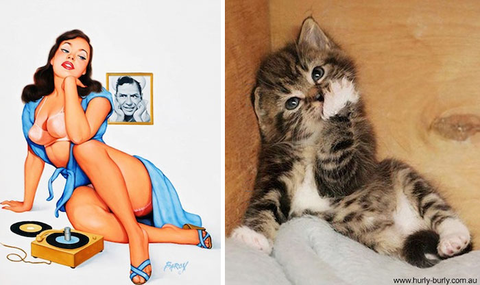 pin-up-cats-7 (700x416, 66Kb)