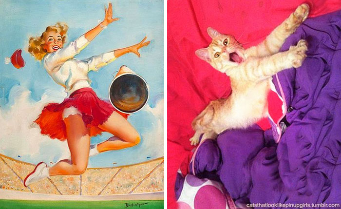 pin-up-cats-8 (700x429, 80Kb)