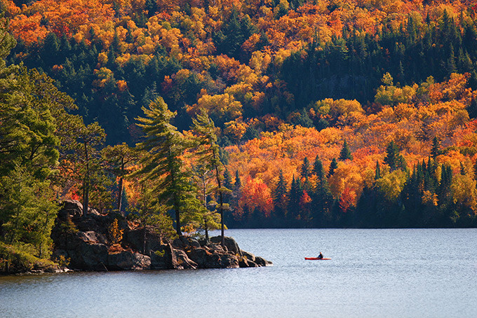 680-kayaking-algonquin-park-canada (680x454, 203Kb)