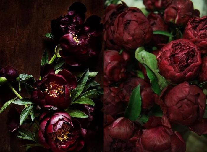 147794046_marsala1 (700x512, 48Kb)