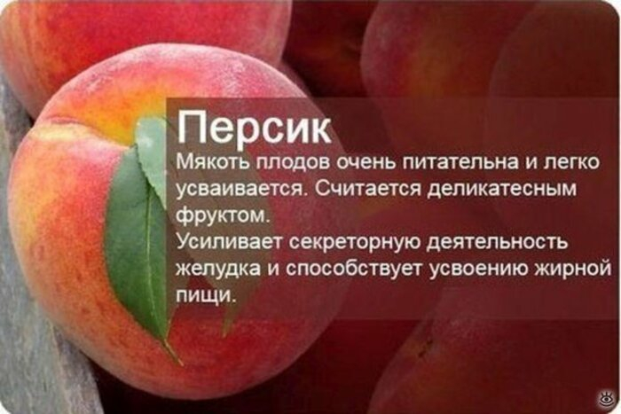 alt="Чем полезны фрукты и ягоды? "