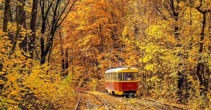 трамвай, уходящий в осень 1 (700x366, 491Kb)