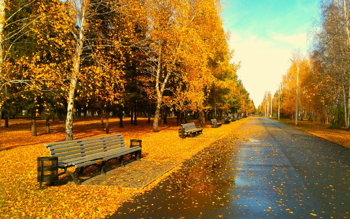 осень в парке 26 (700x437, 578Kb)
