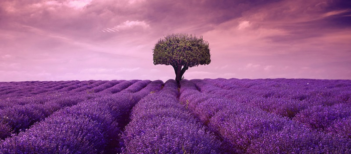 18а (700x308, 254Kb)