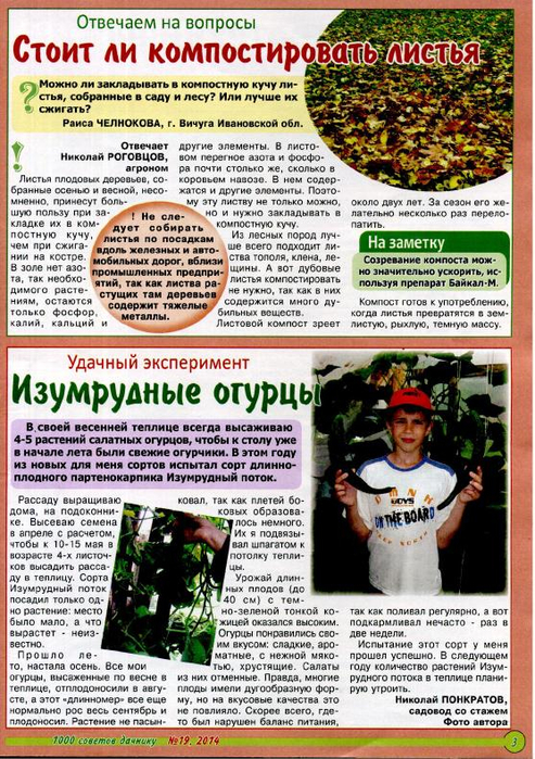 1000 советов дачнику 2014'19_3 (493x700, 498Kb)