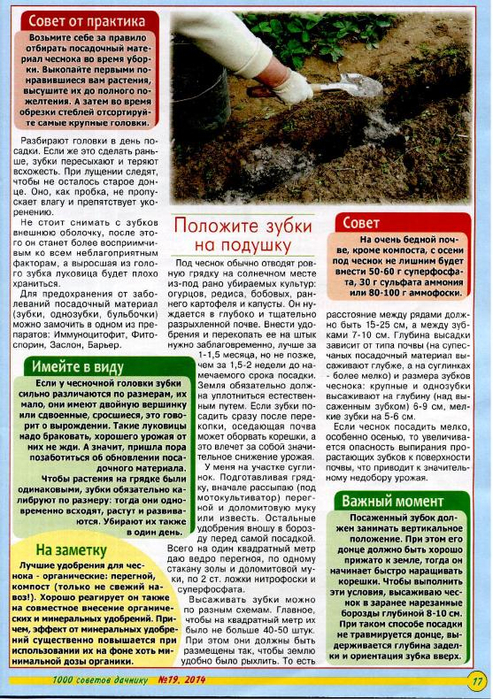 1000 советов дачнику 2014'19_17 (493x700, 499Kb)