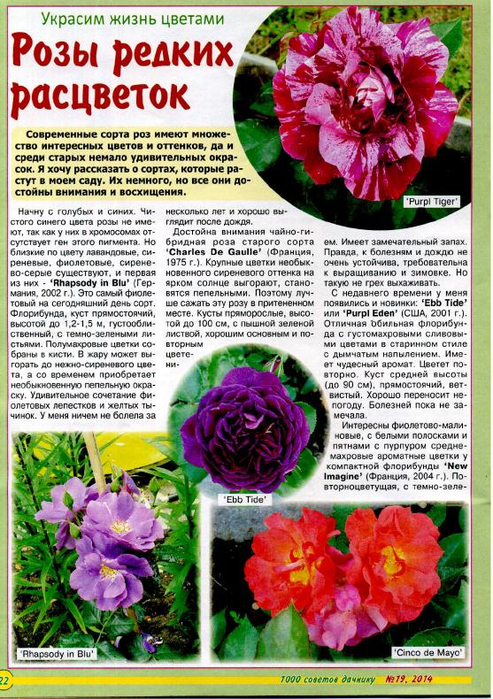 1000 советов дачнику 2014'19_22 (493x700, 503Kb)