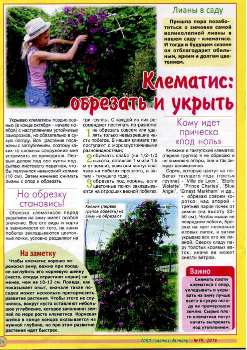 1000 советов дачнику 2014'19_24 (493x700, 503Kb)