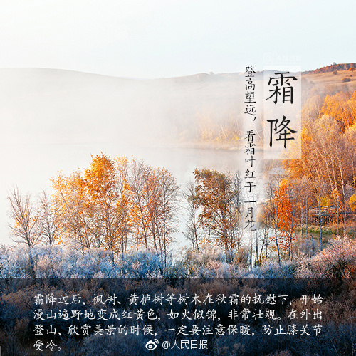 1 (500x500, 319Kb)