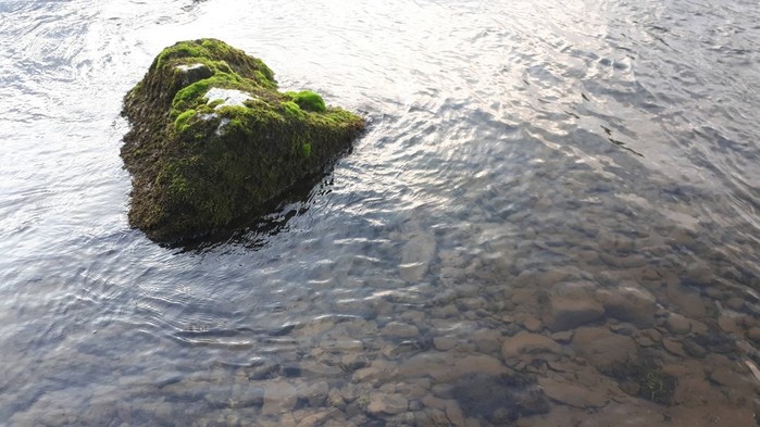 20190809_192335 (700x393, 88Kb)