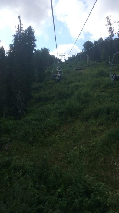 IMG-20190811-WA0000 (393x700, 72Kb)