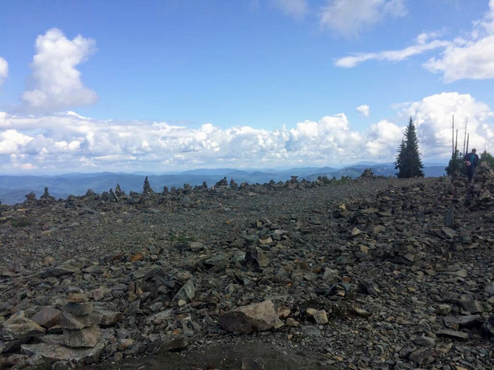 IMG-20190820-WA0082 (700x525, 345Kb)