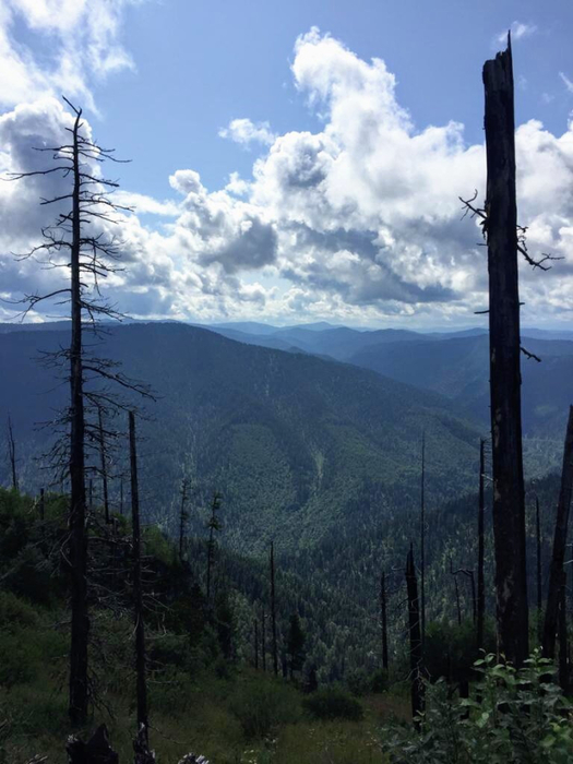 IMG-20190820-WA0004 (525x700, 318Kb)