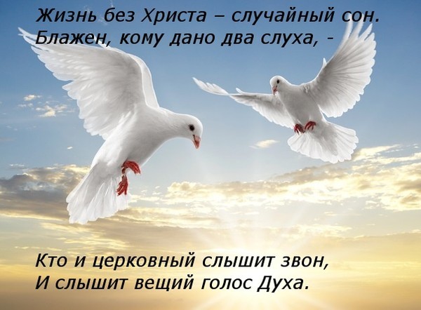 86451150_x_3491092f (600x442, 59Kb)