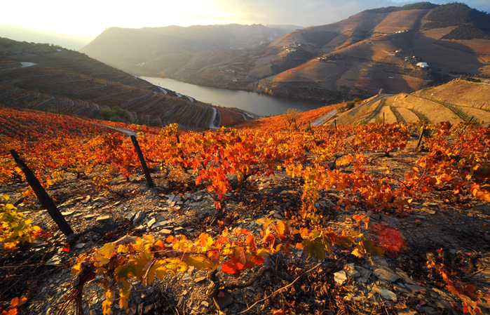Ferreira do Seixo_Douro_Portugal_5(2) (700x449, 565Kb)