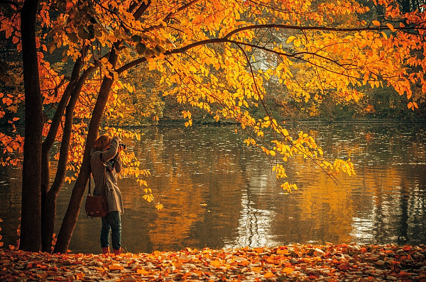 autumn_691263_960_720 (600x398, 512Kb)