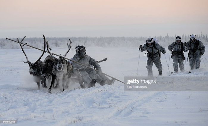 gettyimages-507890948-1024x1024 (700x424, 212Kb)
