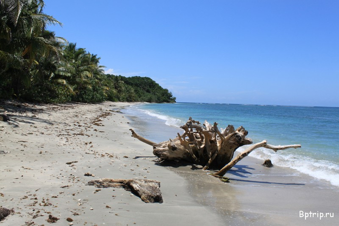 Cahuita-national-parc-Costa-Rica-15 (700x467, 286Kb)