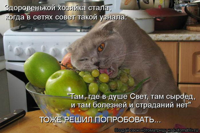 kotomatritsa_jc (700x465, 328Kb)