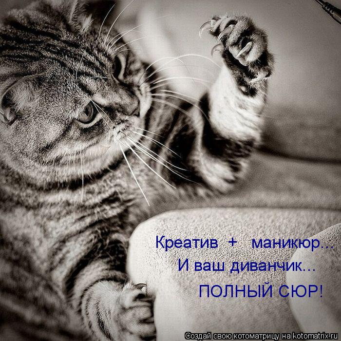 kotomatritsa_MQ (700x700, 332Kb)