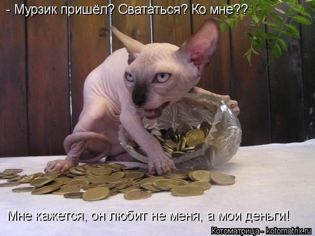 kotomatritsa_ph (640x480, 184Kb)